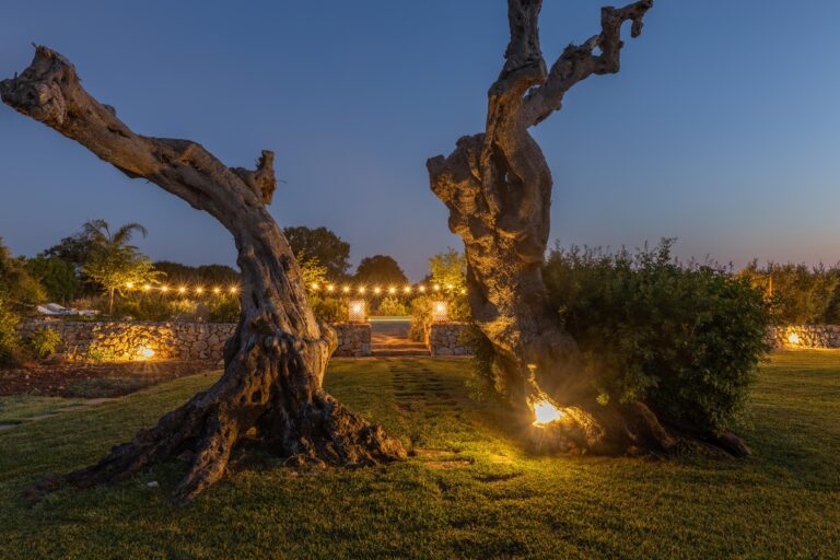 Tenuta del Leccino