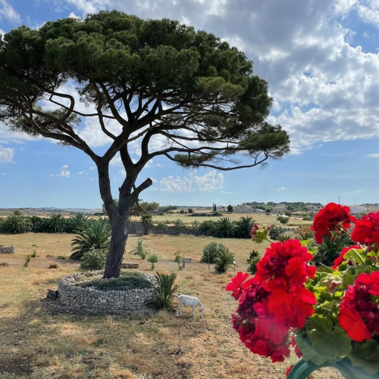 Villa Tempio di Luce