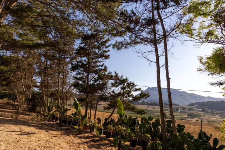 Appartamento Lucentia Arancio