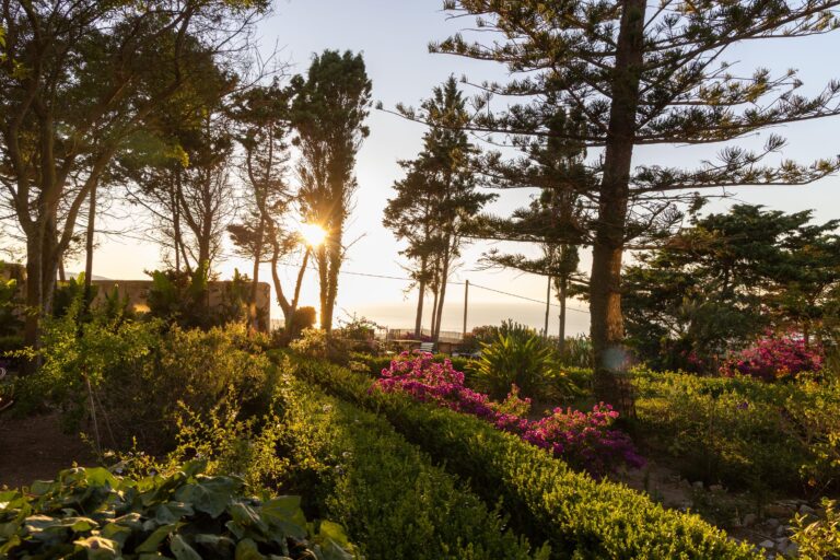 Appartamento Lucentia Giallo