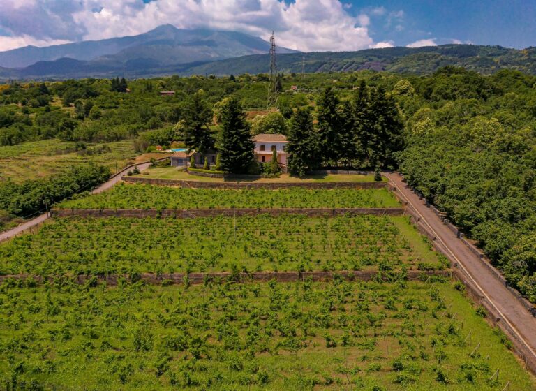 Villa Seraia
