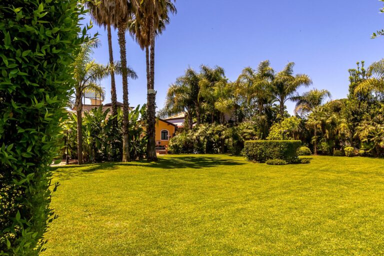 Villa Palmira